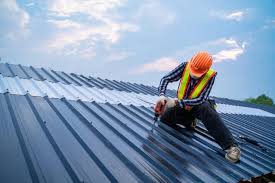 Best Roof Maintenance and Cleaning  in West Union, OH